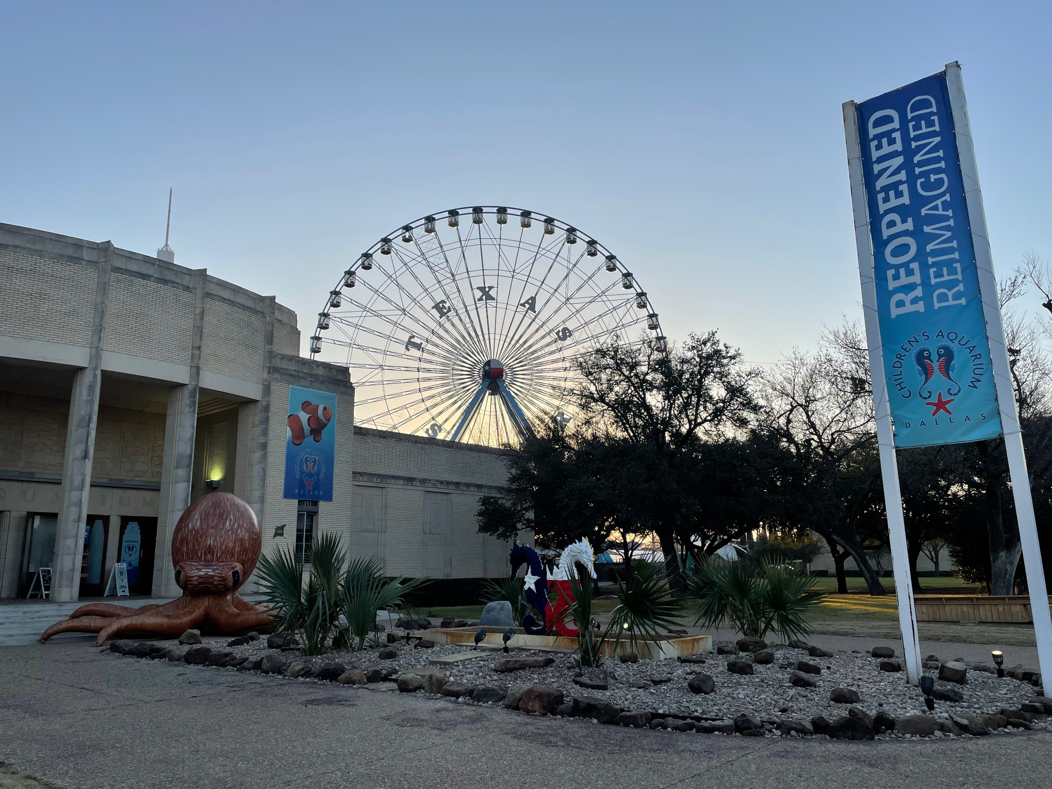 Top Five Fantastic Animal Feeding Strategies To Discover At Children's Aquarium Dallas 5 reopened